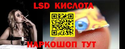 прущие грибы Кандалакша