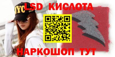 прущие грибы Кандалакша