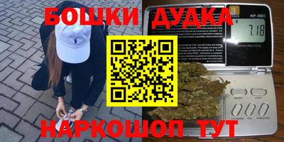 прущие грибы Кандалакша