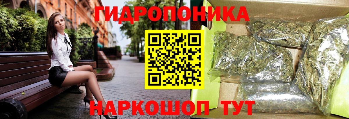 МАРИХУАНА OG Kush Красный Сулин